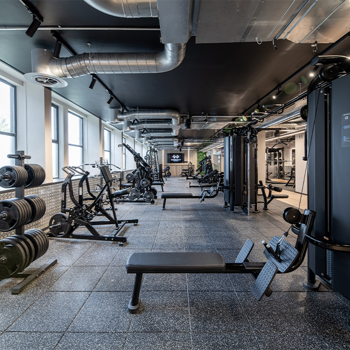 Training & Gym