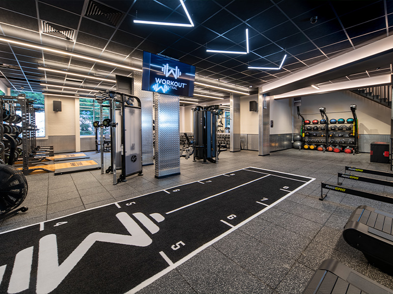 Additional Strength Equipment
